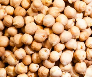 chickpea