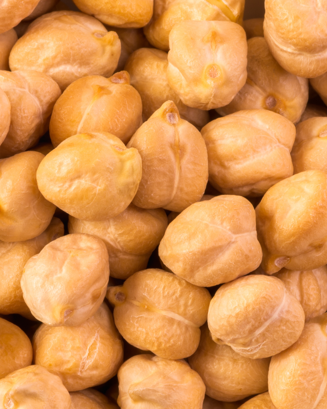 chickpea