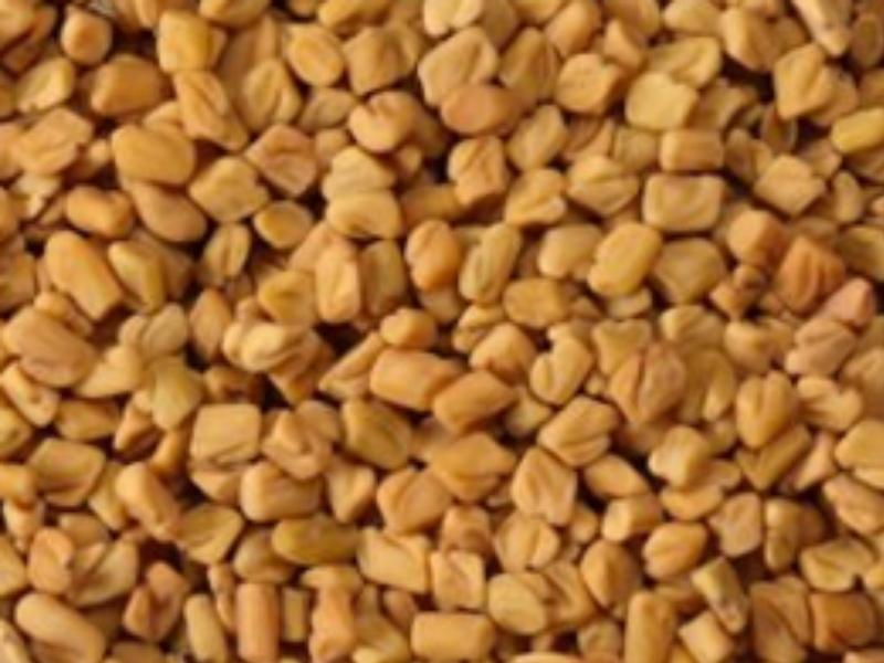 Fenugreek