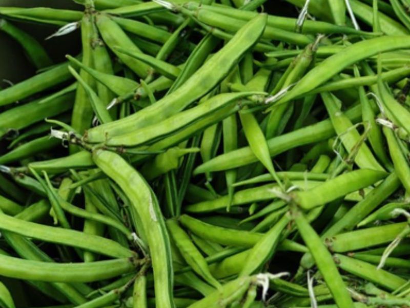 Guar