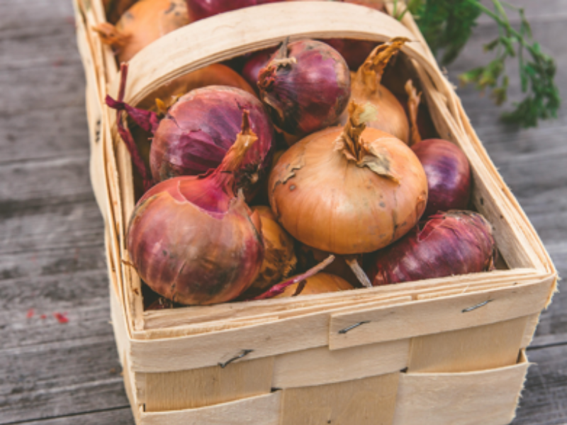 Onion