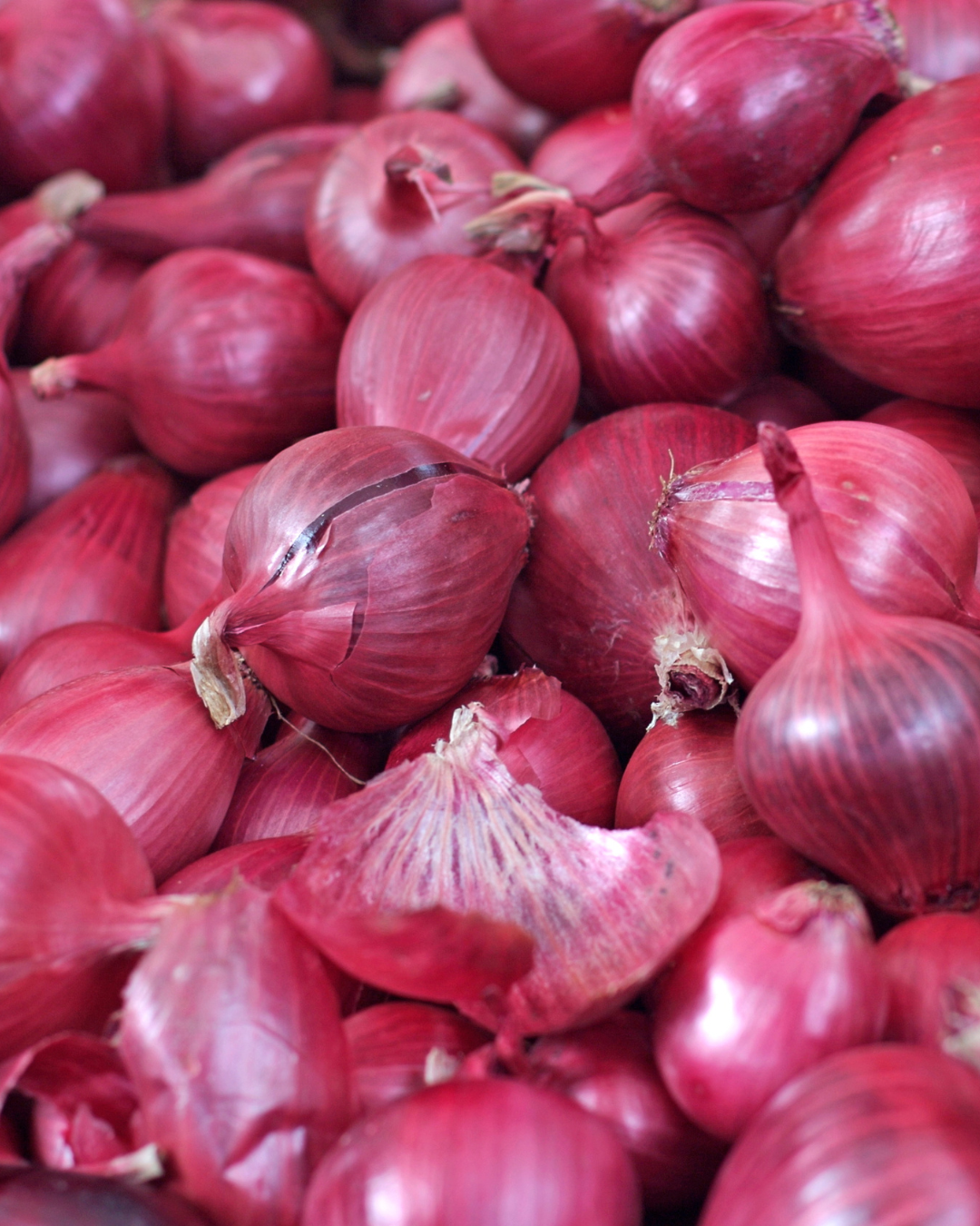 Onion
