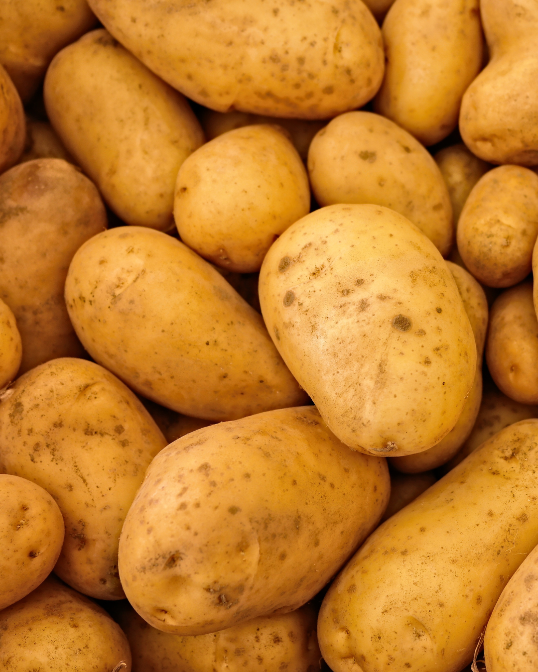 Potato