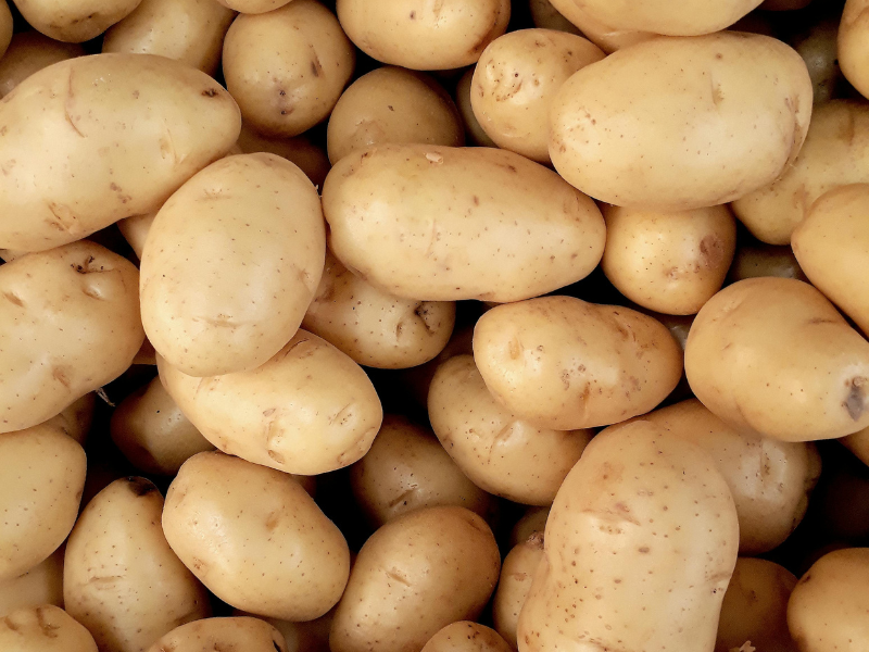 Potato