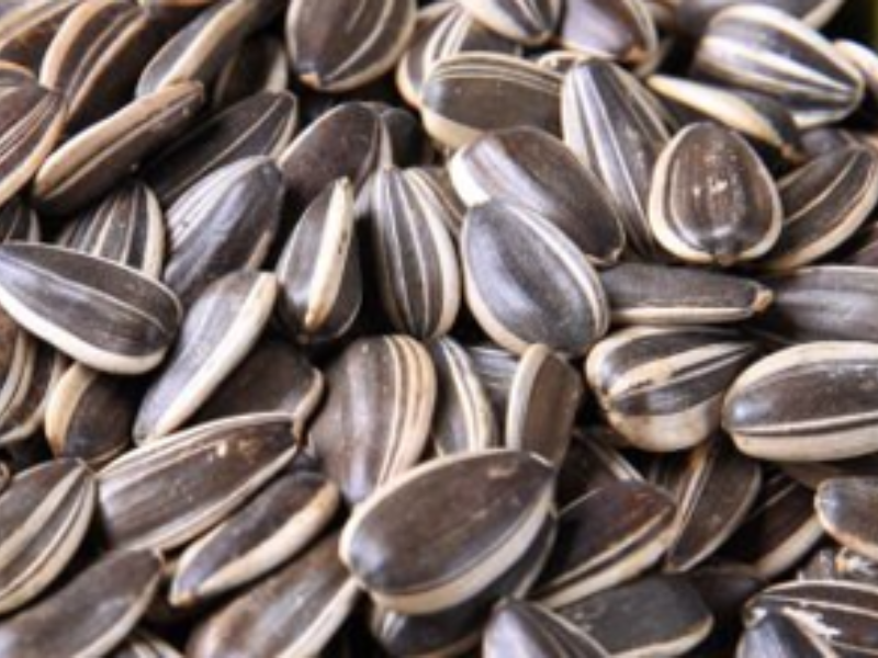 sunflower seeds